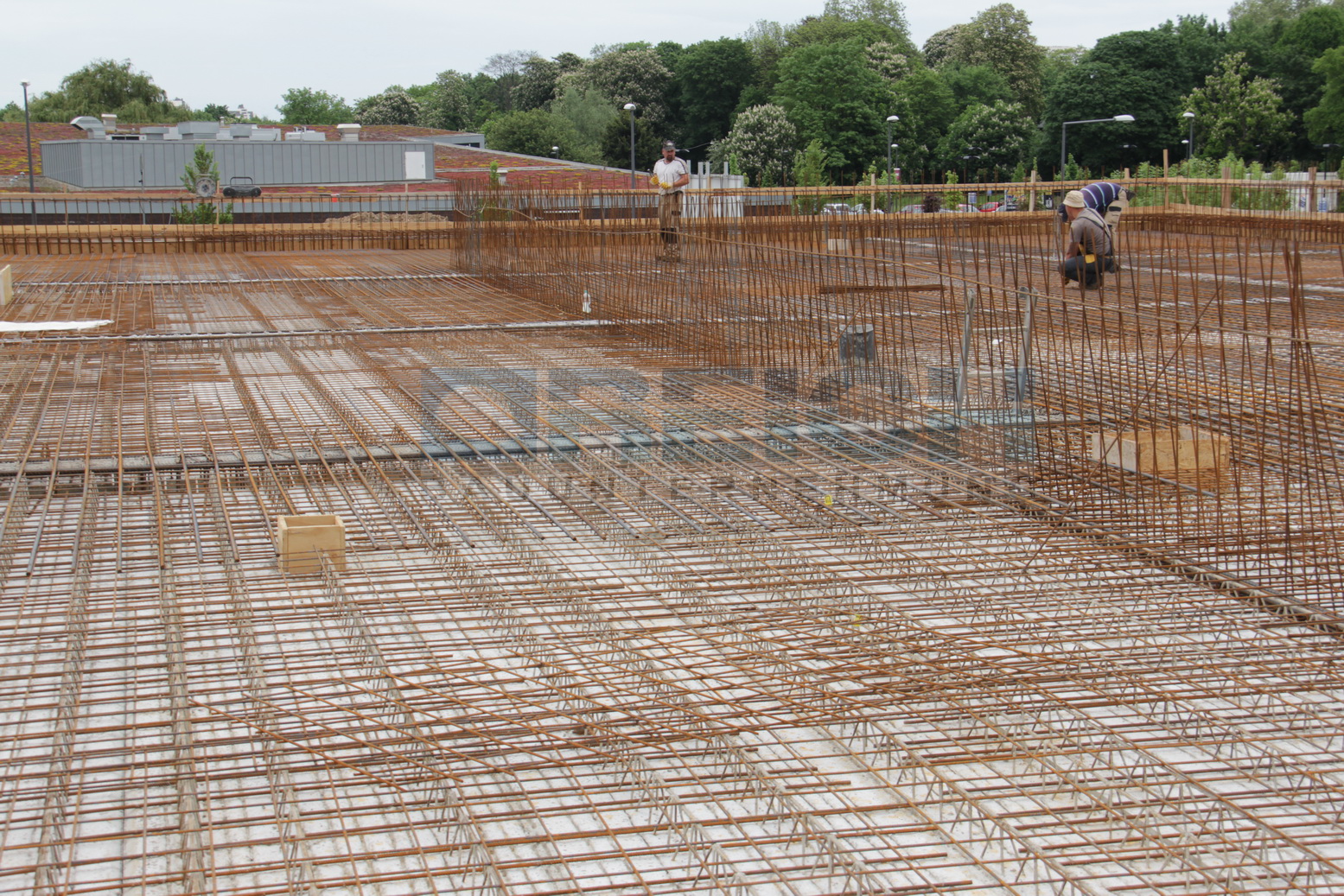 dm-Markt Köln-Wahn; Foto 28: REICH Bauunternehmung
